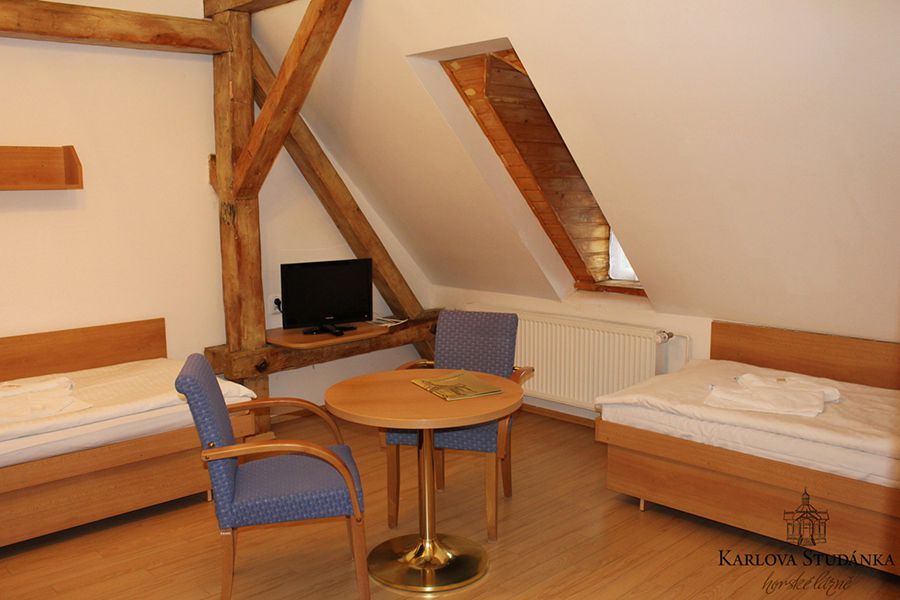 Hotel Slezský dům - lázně Karlova Studánka