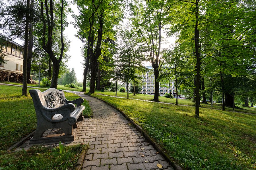 Lázně Libverda - Hotel Lesní Zátiší ***