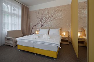 Janské Lázně - Lázeňský hotel Terra