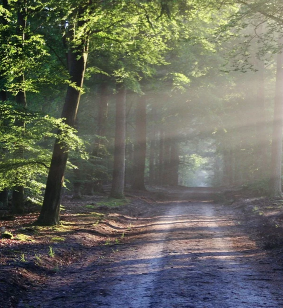 Prodloužené víkendy pro dva 2023 ✅ | E-lazne.eu