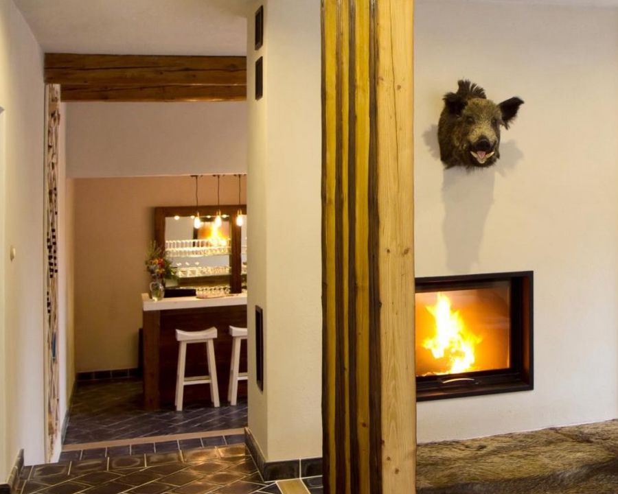 Spa Boutique hotel Löwenstein - Konstantinovy Lázně